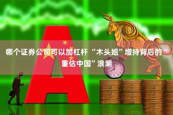 哪个证券公司可以加杠杆 “木头姐”增持背后的“重估中国”浪潮